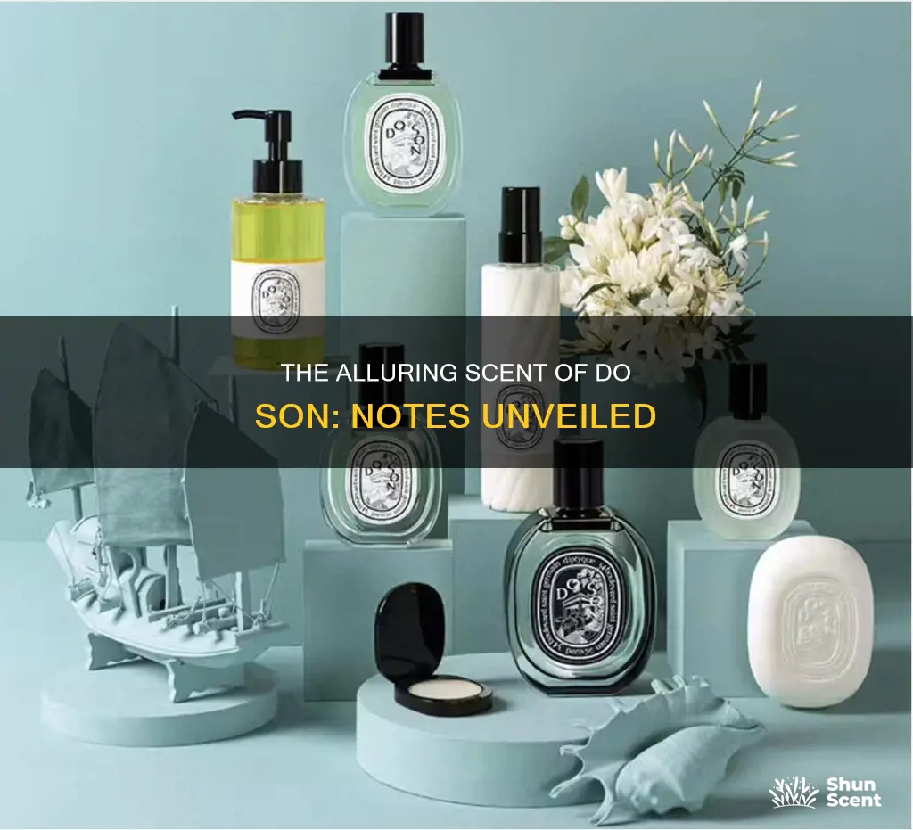 do son perfume notes