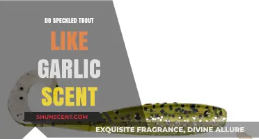 Garlic Scent Lure: Speckled Trout Attraction Secrets Revealed