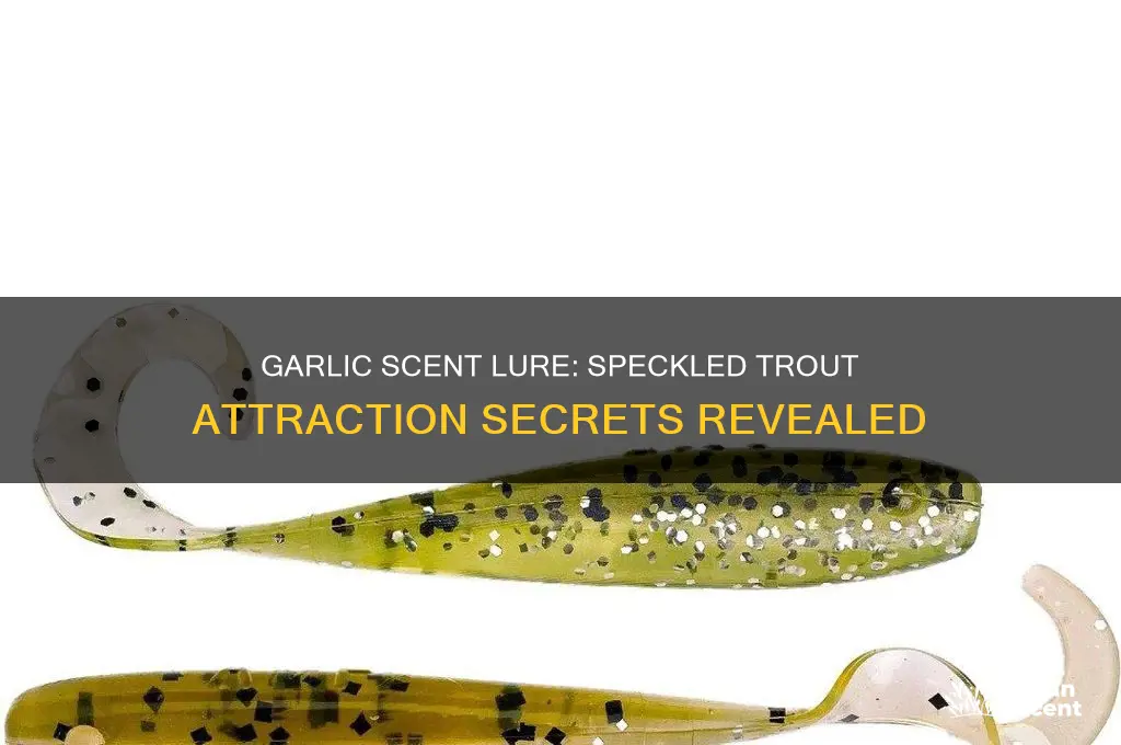do speckled trout like garlic scent