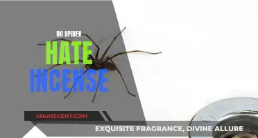 Incense: Spider Repellent or Urban Myth?