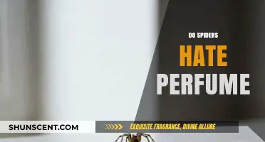 Spiders and Scents: Do Spiders Hate Perfume?