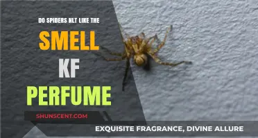 Spiders and Scents: Do They Mix?