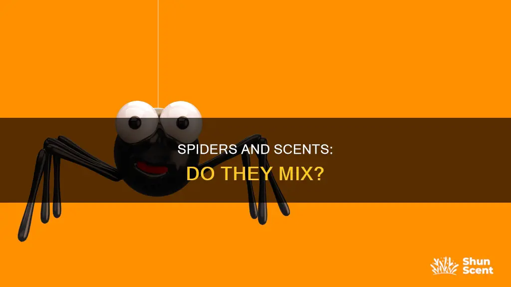 do spiders nlt like the smell kf perfume