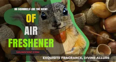 Do Squirrels Enjoy Air Freshener Scents? Uncovering the Truth