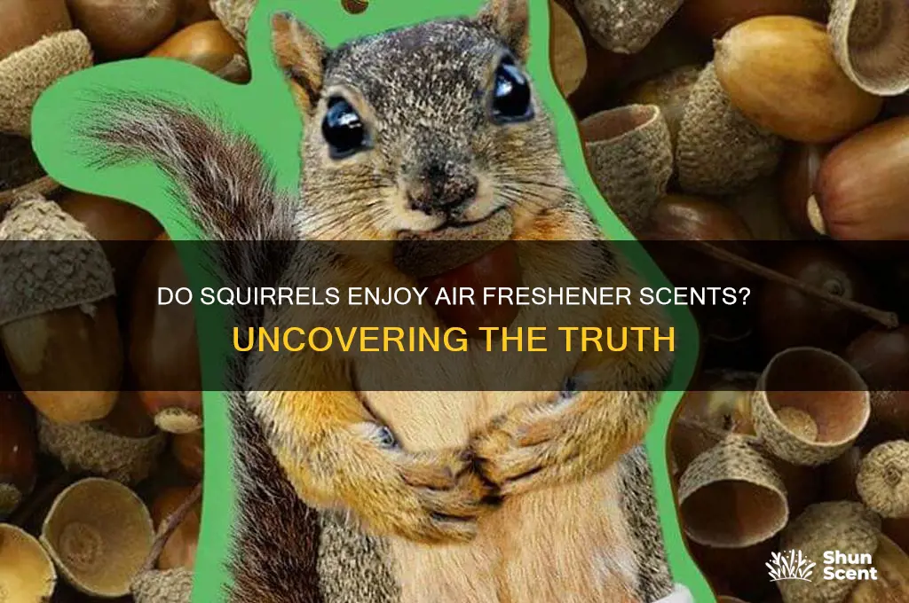 do squirrels like the scent of air freshener