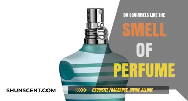 Squirrel Scents: Do They Like Our Perfumes?