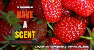 The Sweet Aroma of Strawberries: Do They Really Have a Scent?