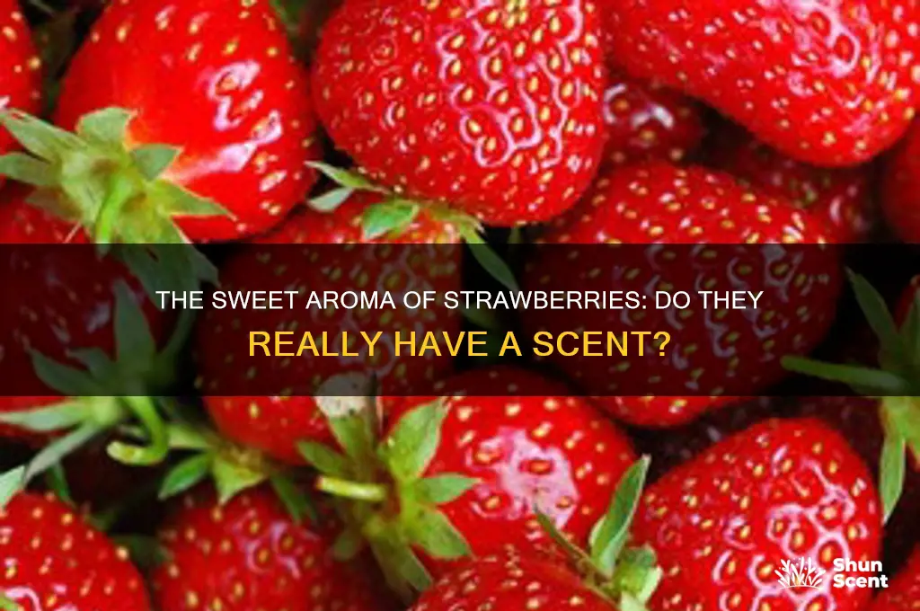 do strawberries have a scent