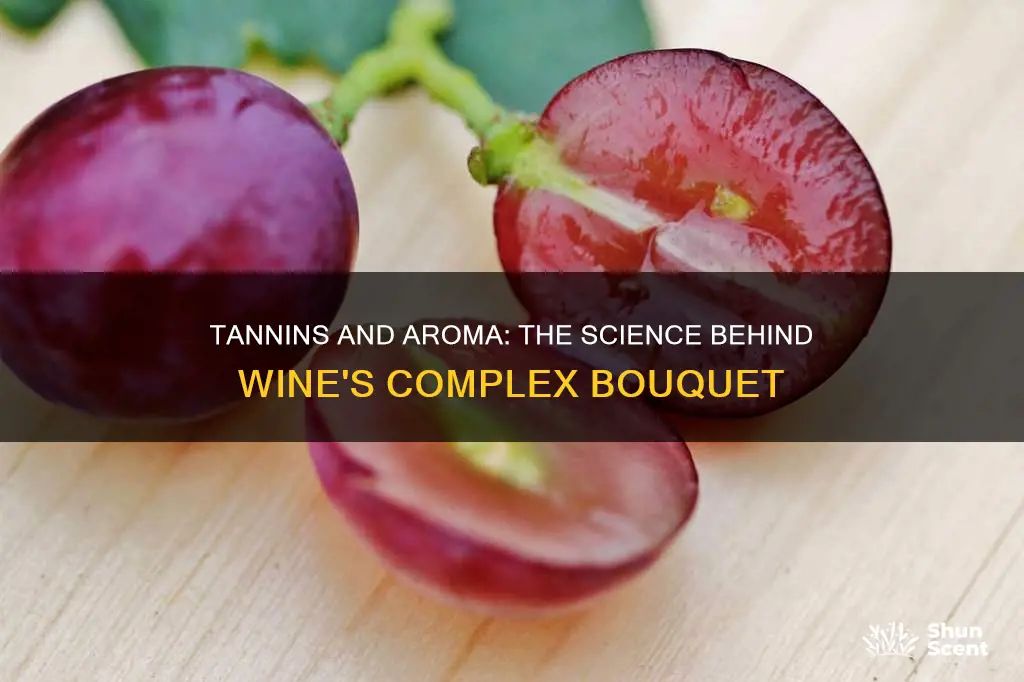 do tannins have aroma