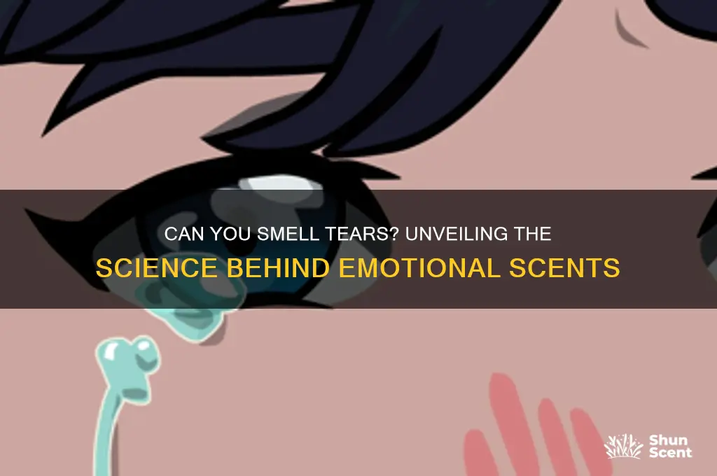 do tears have a scent