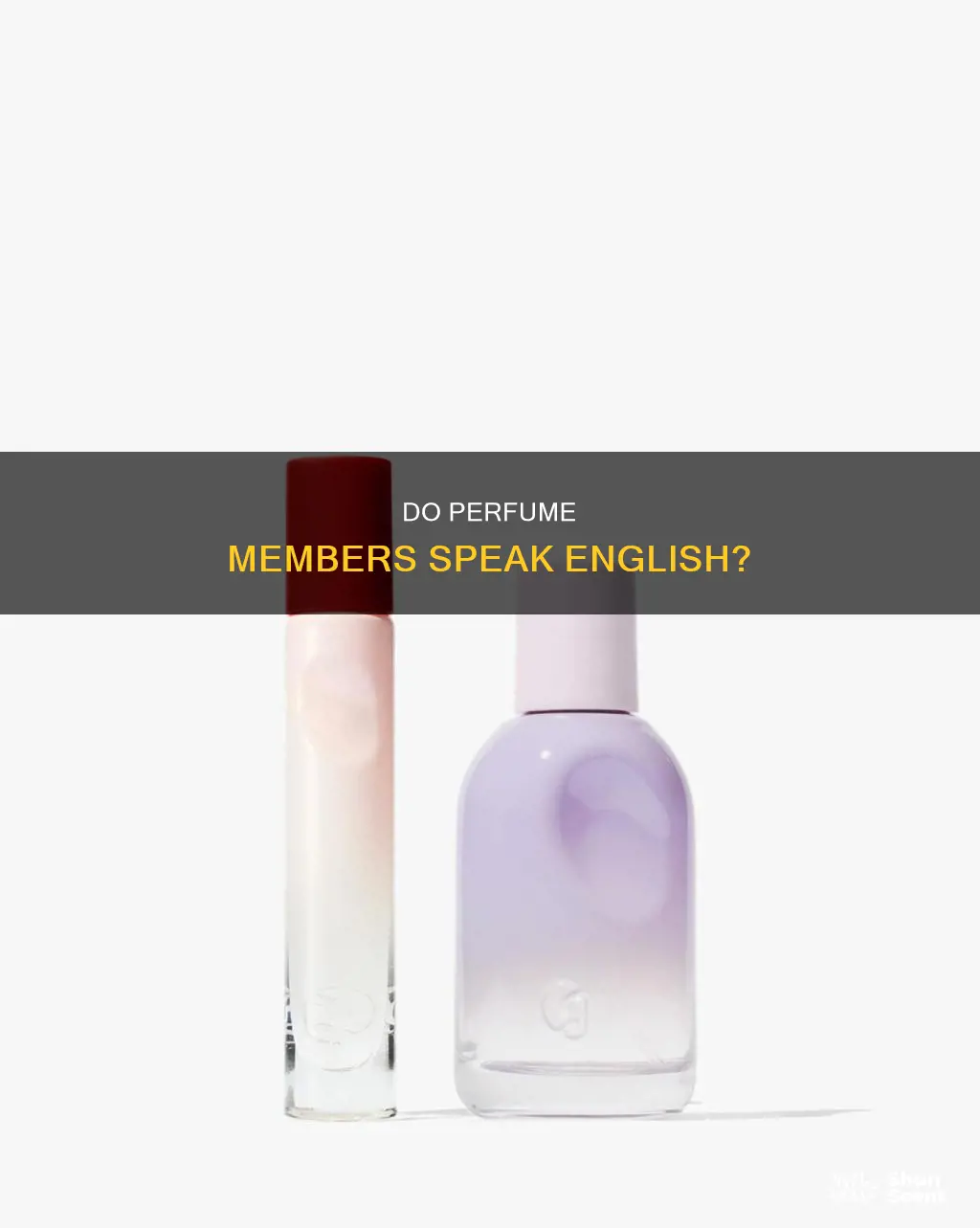 do the girls in the band perfume speak english