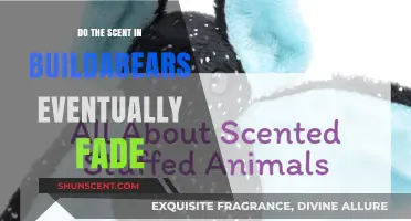 Does Build-A-Bear Scent Fade Over Time? Find Out Here