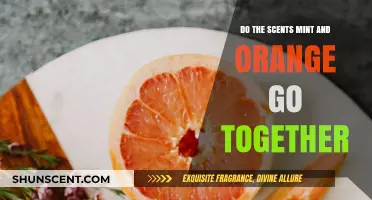 Mint and Orange: A Refreshing Scent Pairing or Unlikely Match?