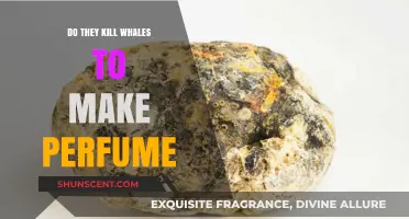 The Dark Secret of Perfume: Killing Whales for Scent