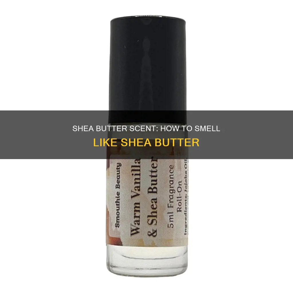 do they make a shea butter perfume