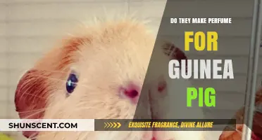 The Scent of a Guinea Pig: Do Perfumes Exist?