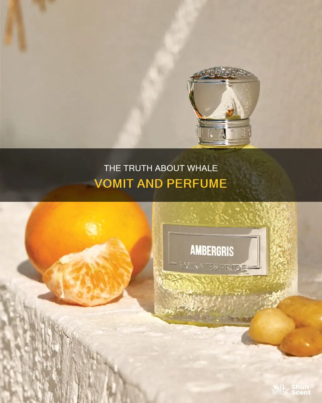 do they make perfume from whale vomit