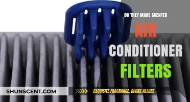 Scented Air Conditioner Filters: Do They Exist and Are They Worth It?