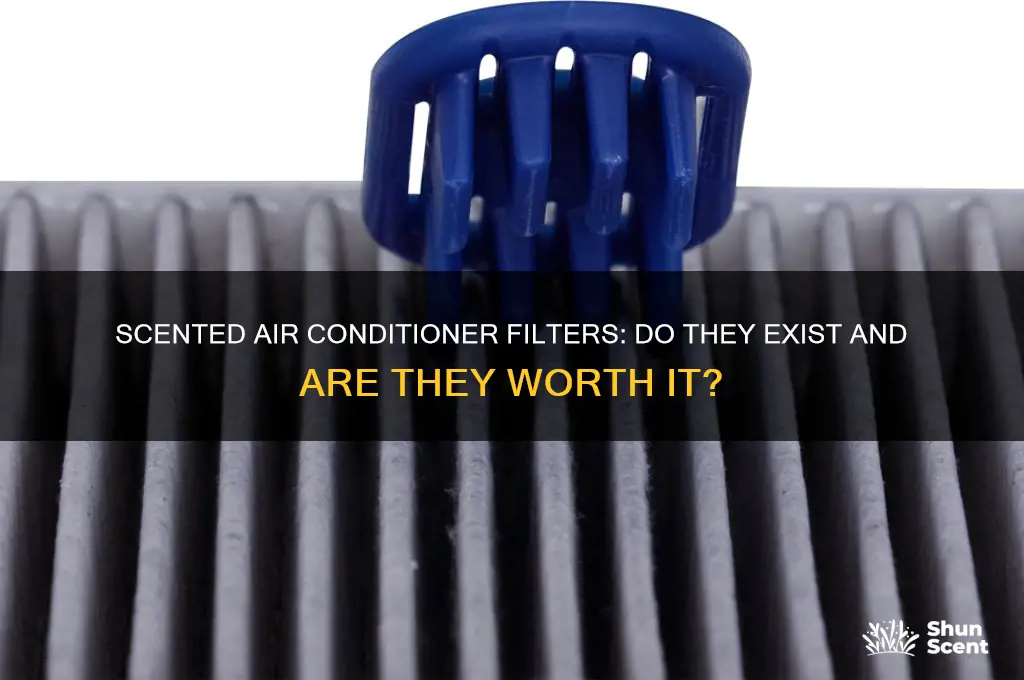do they make scented air conditioner filters