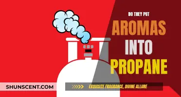 The Mystery of Aromatic Propane: Fact or Fiction?