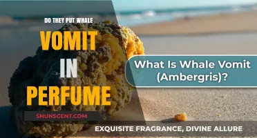 Whale Vomit: The Secret Ingredient in Your Perfume