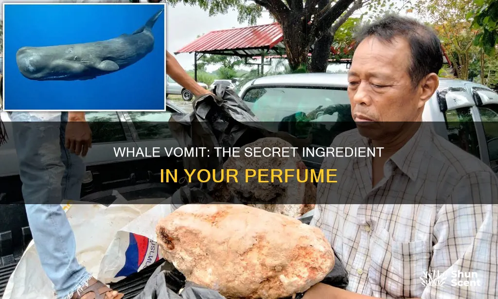do they put whale vomit in perfume
