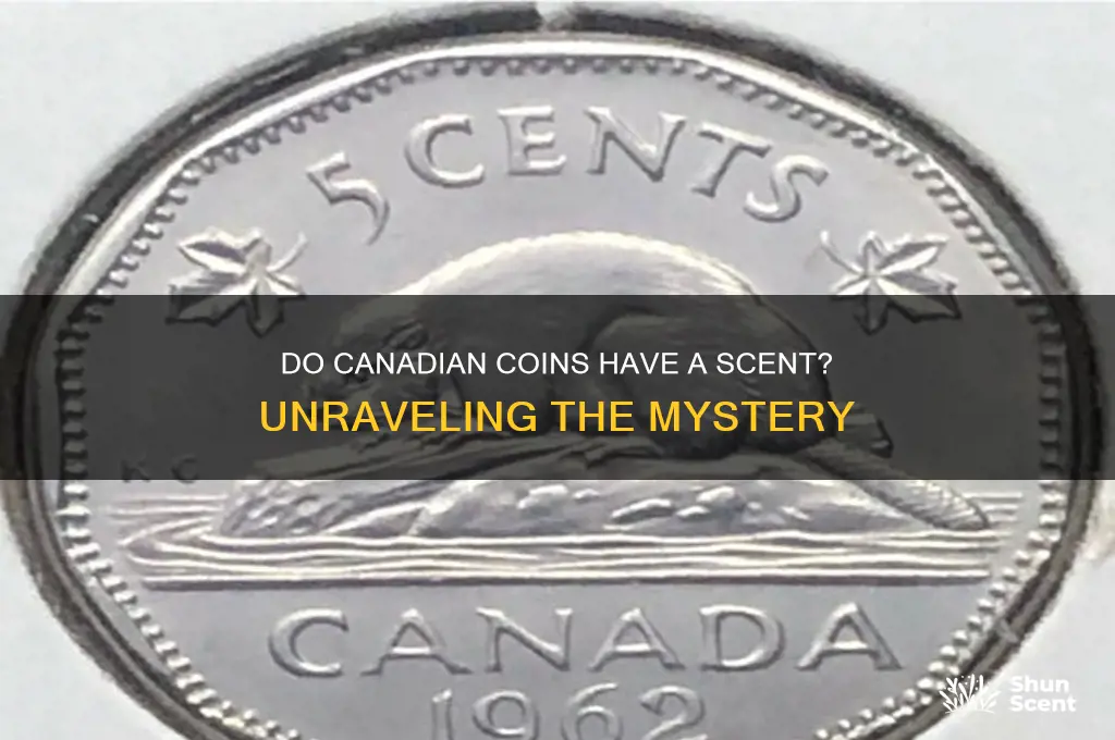 do they scent the coins in canada