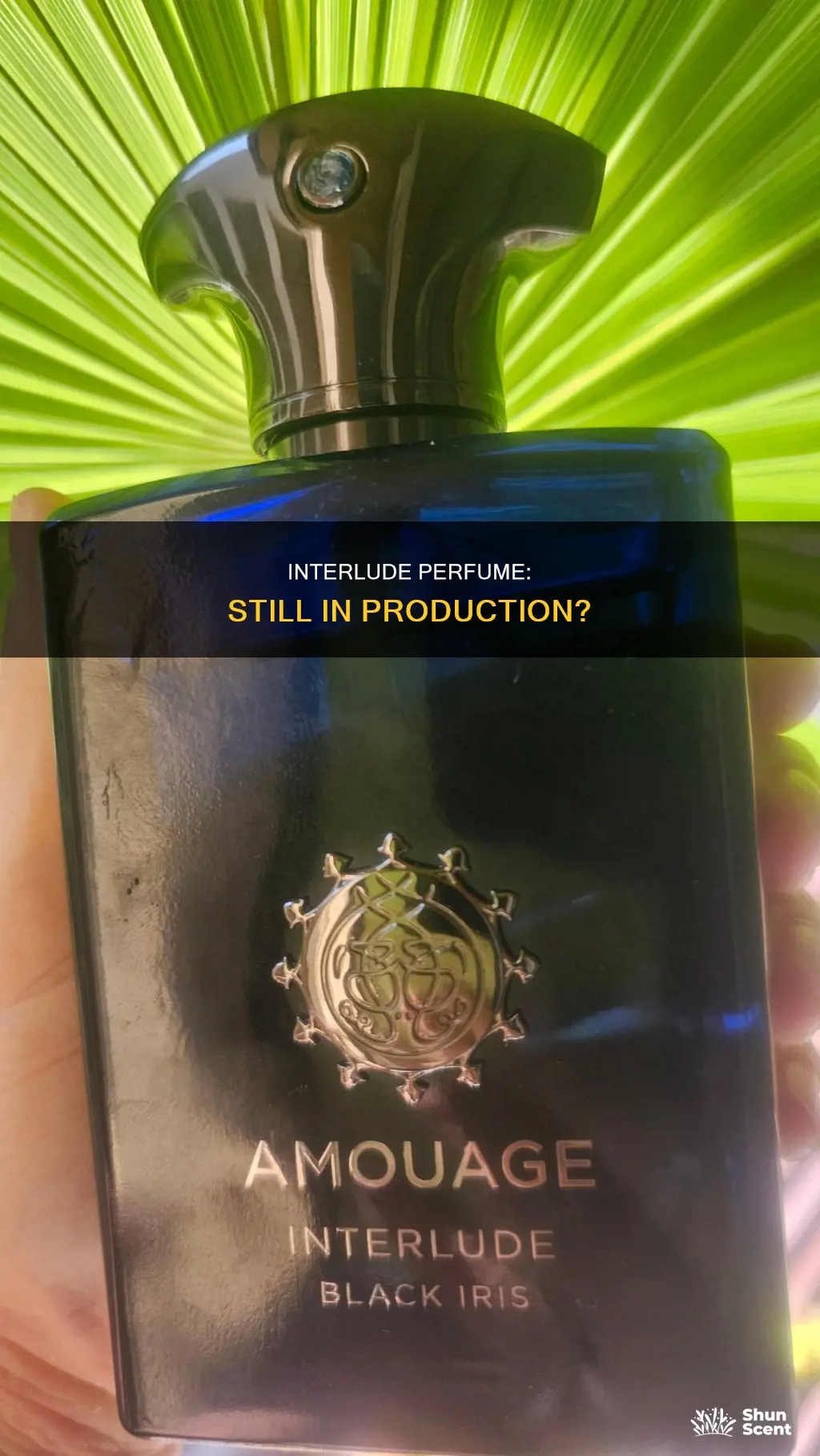 do they still make interlude perfume