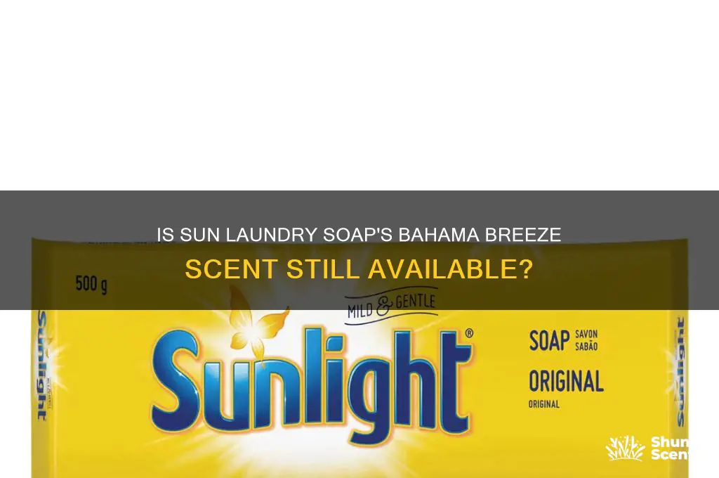 do they still make sun launsry soap bahama breeze scent