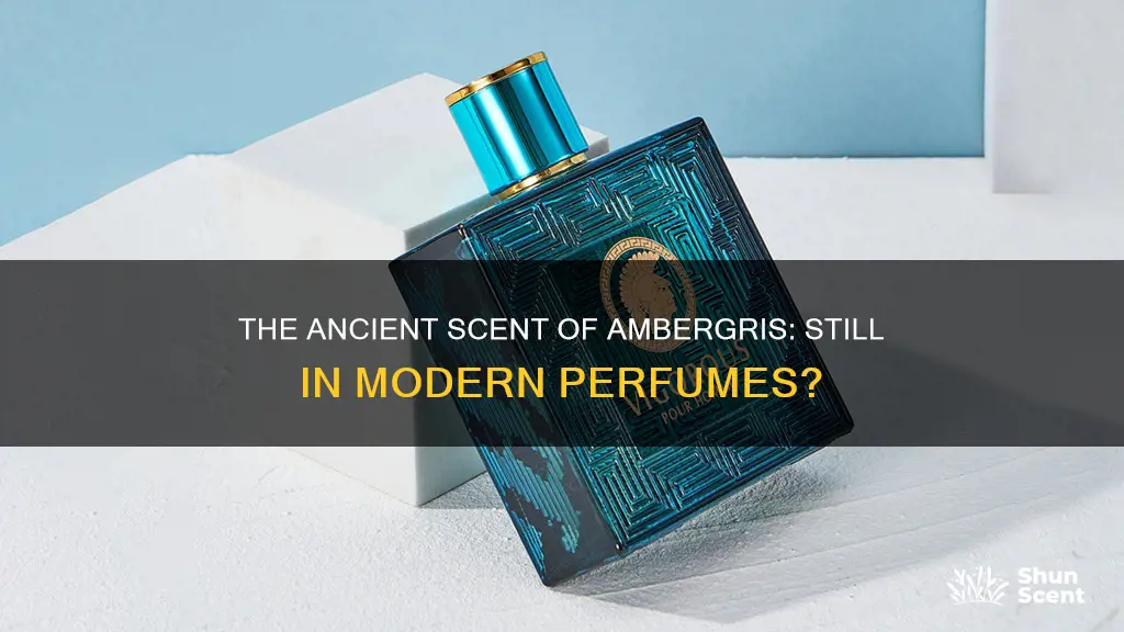 do they still use ambergris to make perfume