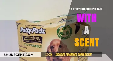 Are Dog Pee Pads Scented? Uncovering the Truth Behind Treatments
