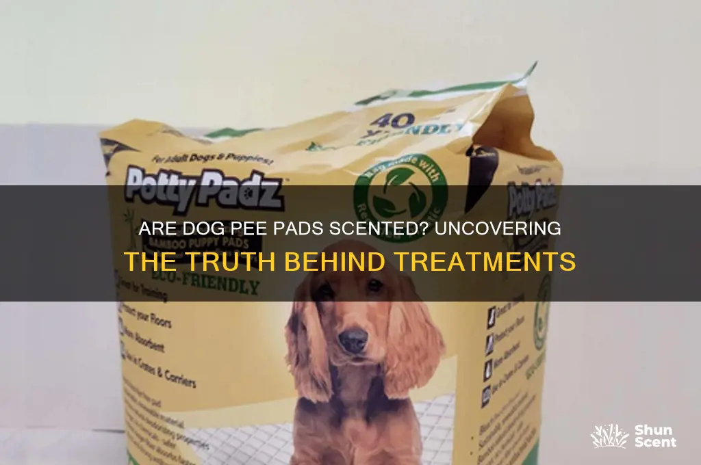 do they treat dog pee pads with a scent