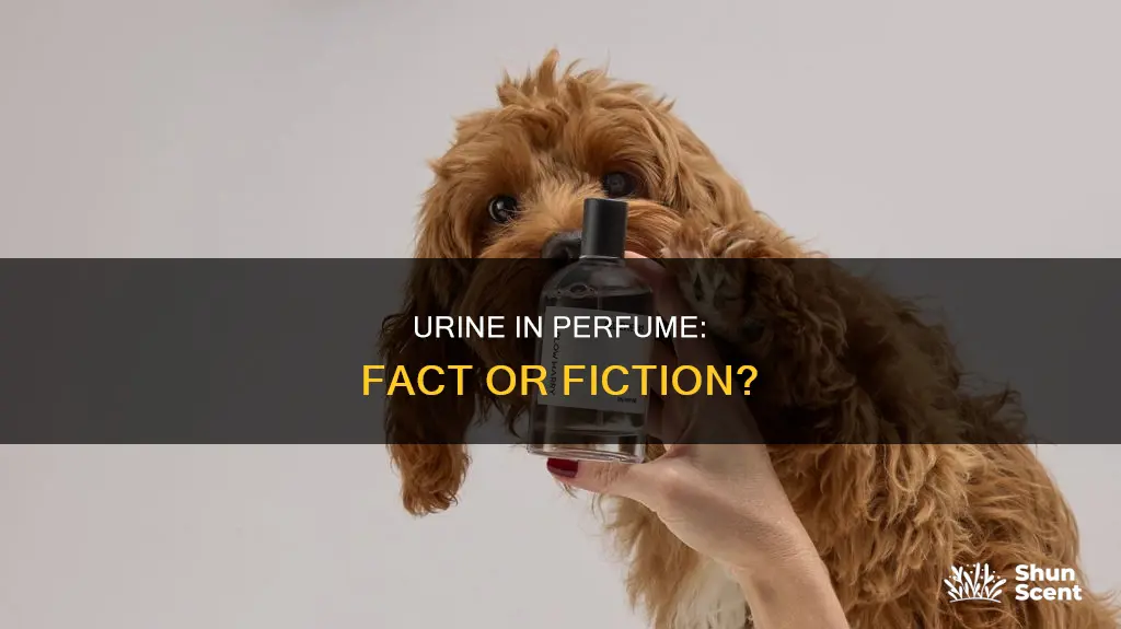 do they use car urine in p perfume