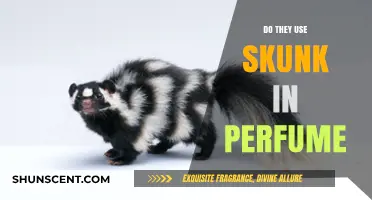 Skunk Smell in Perfume: Fact or Fiction?