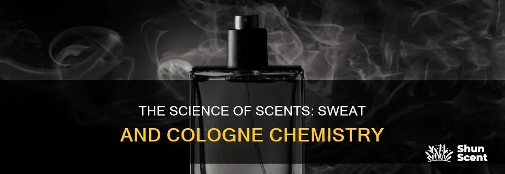 do they use sweat in cologne