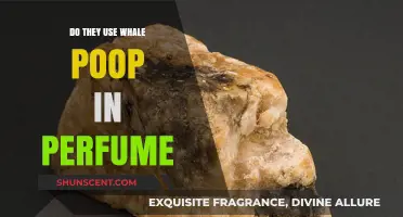 Whale Poop: The Secret Ingredient in Your Perfume?