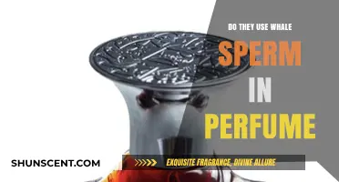 Whale Sperm in Perfume: A Myth or Reality?