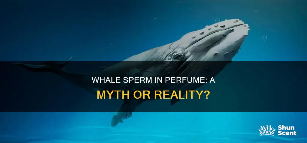 do they use whale sperm in perfume