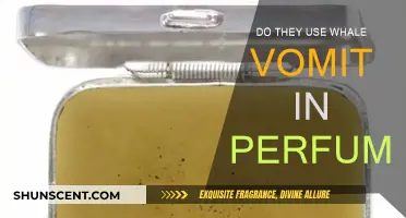 Whale Vomit: The Secret Behind Expensive Perfumes