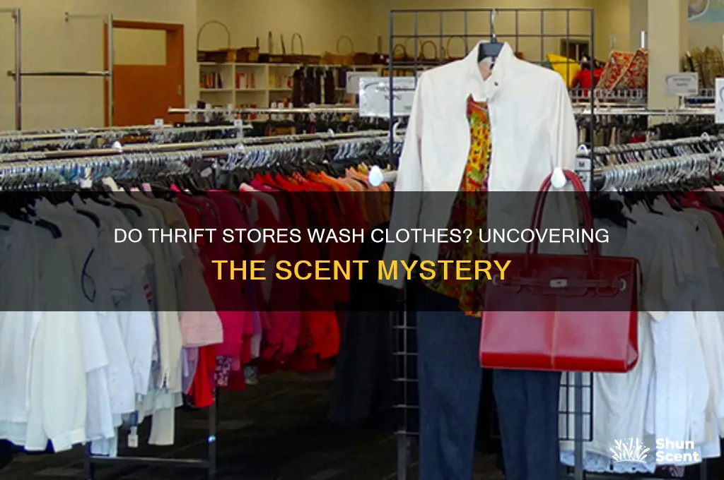 do they wash thrift store clothes scent