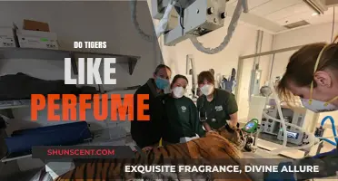 Tigers and Perfume: A Scent-driven Attraction
