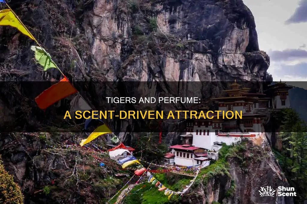 do tigers like perfume