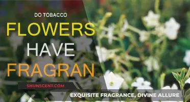 The Sweet Smell of Tobacco Flowers: Nature's Perfume