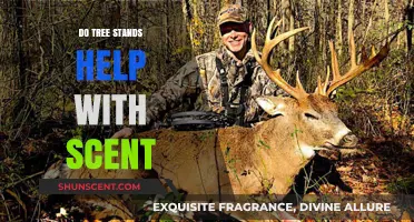 Tree Stands and Scent Control: Enhancing Your Hunting Success