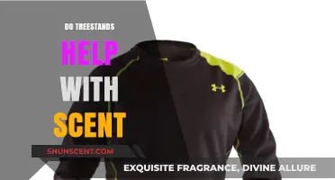 Treestands and Scent Control: Enhancing Your Hunting Stealth Effectively