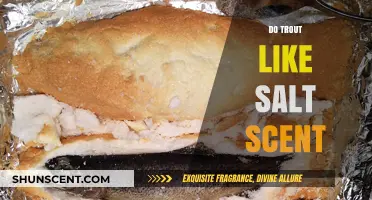Does Salt Scent Attract Trout? Uncovering the Truth for Anglers