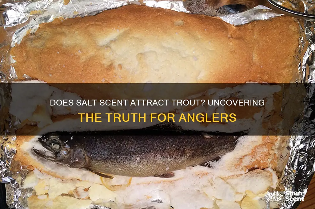 do trout like salt scent