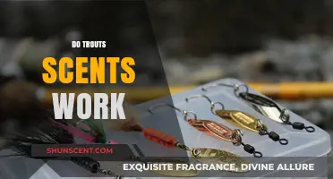 Do Trout Scents Really Work? Uncovering the Truth for Anglers