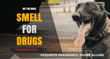 Sniffing Out Narcotics: The Truth About TSA Dogs and Drug Detection