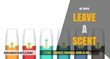 Do Vapes Leave a Scent? Uncovering the Truth About Vape Odors
